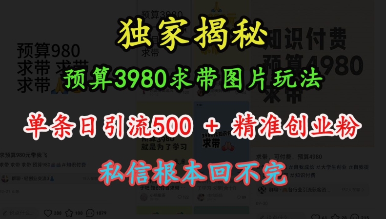 【第8689期】图片玩法，单条日引流500+精准创业粉，私信根本回不完